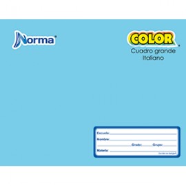 CUADERNO ITALIANA COSIDO CUADRO GDE NORMA 100 HOJA - Envío Gratuito