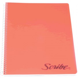 CUADERNO PROFESIONAL SCRIBE RAYA 100 HOJAS CLASICO - Envío Gratuito