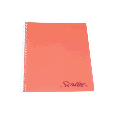 CUADERNO PROFESIONAL SCRIBE RAYA 100 HOJAS CLASICO - Envío Gratuito