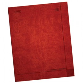CUADERNO EJECUTIVO RAYA NORMA 72 HOJAS DAILY NOTES - Envío Gratuito