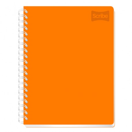 CUADERNO PROFESIONAL RAYA SCRIBE 100 HOJAS - Envío Gratuito