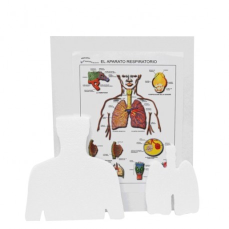 MAQUETA INST APAR RESPIRATORIO - Envío Gratuito