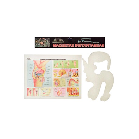 MAQUETA INST REP. MASCULINO - Envío Gratuito